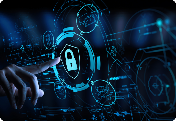 Bug Bounty Program